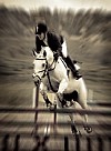 hest
